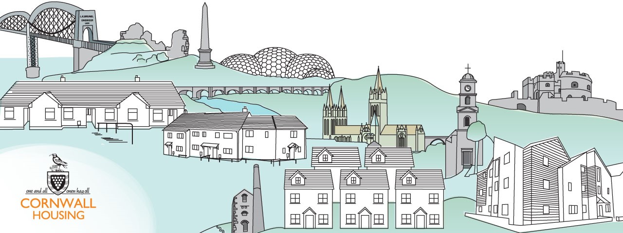 Design for Housing surveys for social housing organisation Cornwall Housing