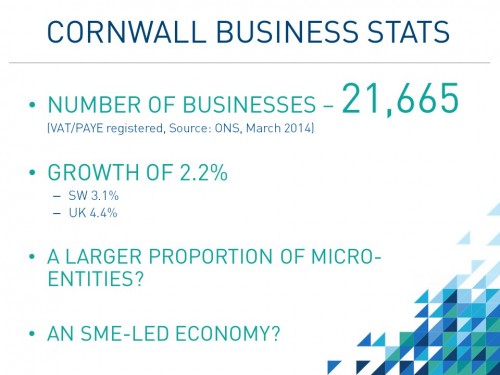 Cwll Business Stats