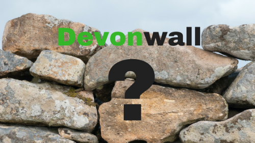 4% of Cornwall’s Population supports ‘Devonwall’ Constituency Proposal